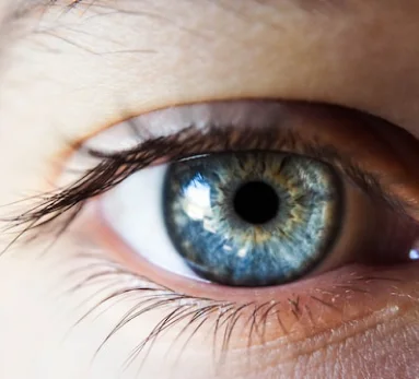 Close-up of an iris, an image associated with iridology.